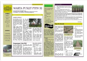 Read more about the article Warta Puslit Sukosari PTPN XI edisi November 2015
