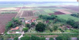 Read more about the article URAT NADI PRODUKTIFITAS HGU JATIROTO