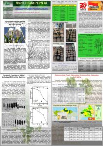 Read more about the article Warta Puslit Sukosari PTPN XI Edisi Agustus 2017