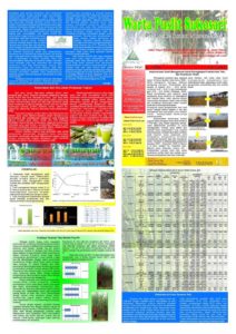 Read more about the article Warta Puslit Sukosari PTPN XI Edisi Juli 2017