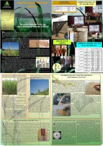 Read more about the article Warta Puslit Sukosari PTPN XI Edisi November 2017