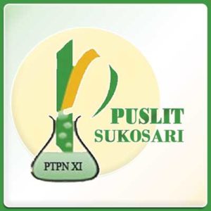 Read more about the article Bibit Konvensional Puslit Sukosari Yang Siap Ditanam Bulan Oktober 2018
