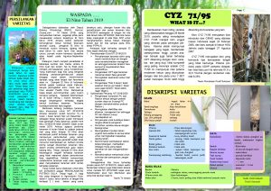 Read more about the article Warta Puslit Sukosari Bulan Mei Tahun 2019