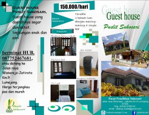 Read more about the article Guest House Puslit Sukosari & Fasilitasnya dengan view cantik dikelilingi kebun buah