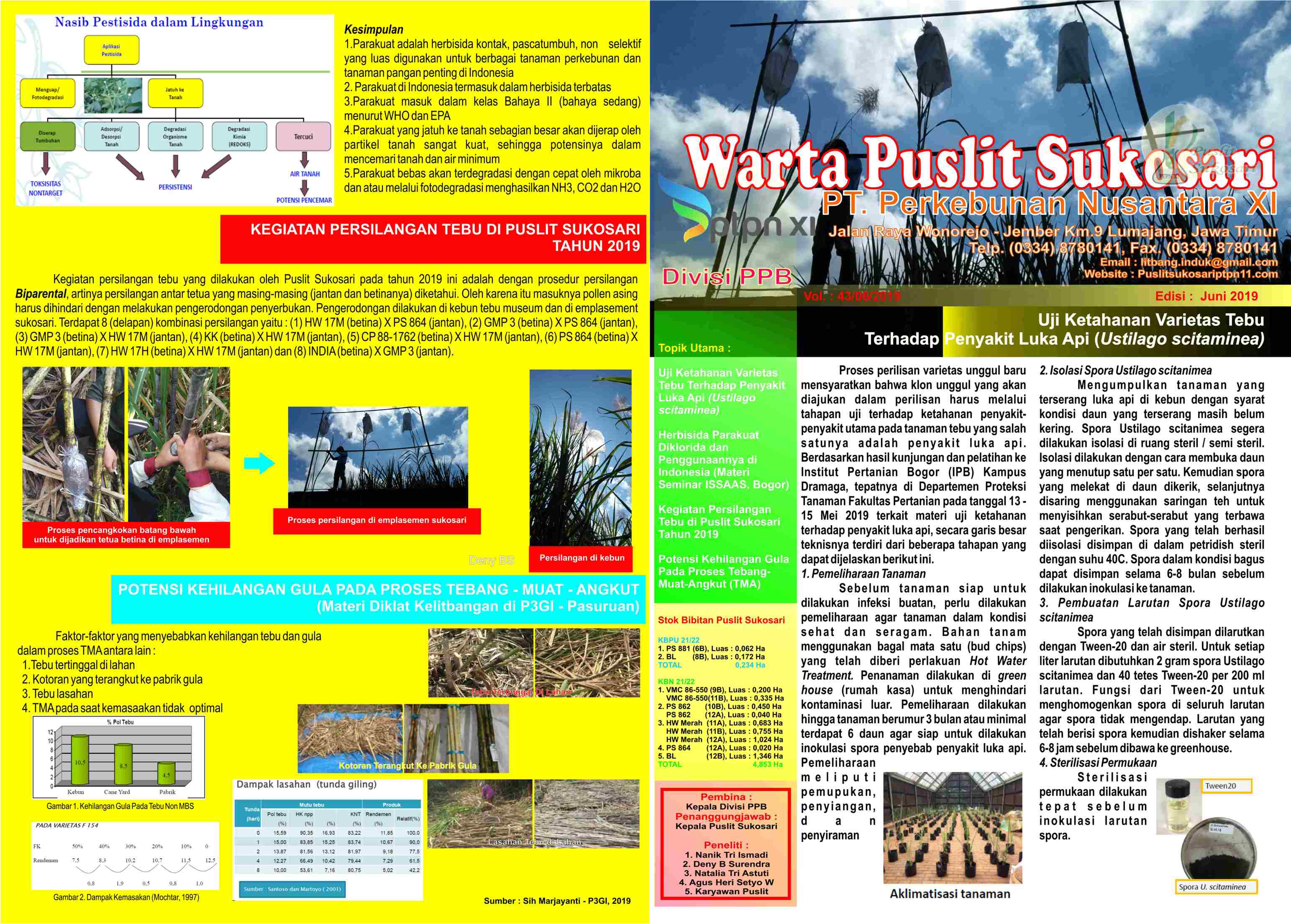 Read more about the article Warta Puslit Sukosari Bulan Juni Tahun 2019