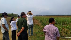 Read more about the article Kunjungan PT. Marketindo Selaras ke Puslit Sukosari PTPN XI