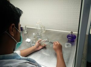 Read more about the article Bibit Dari Laboratorium kultur Jaringan Puslit Sukosari Yang Siap Tanam Dibulan Desember 2019