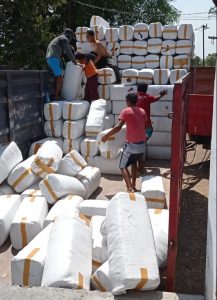 Read more about the article Proses Produksi Sugar Cane Top (SCT) PTPN XI